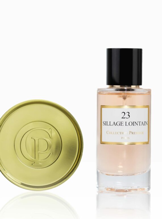 23_Sillage Lointain-min